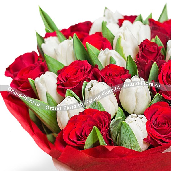 Подари ей весну - букет из белых тюльпанов и красных роз